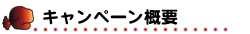 �L�����y�[���T�v