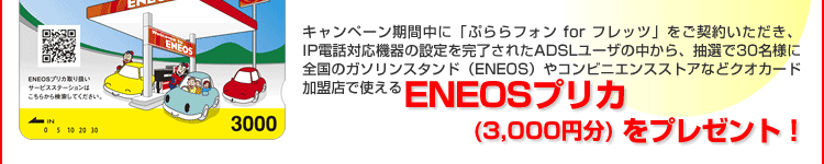 �ƌv��������I050IP�d�b�L�����y�[��